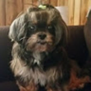 Meet your Posher, Stacy